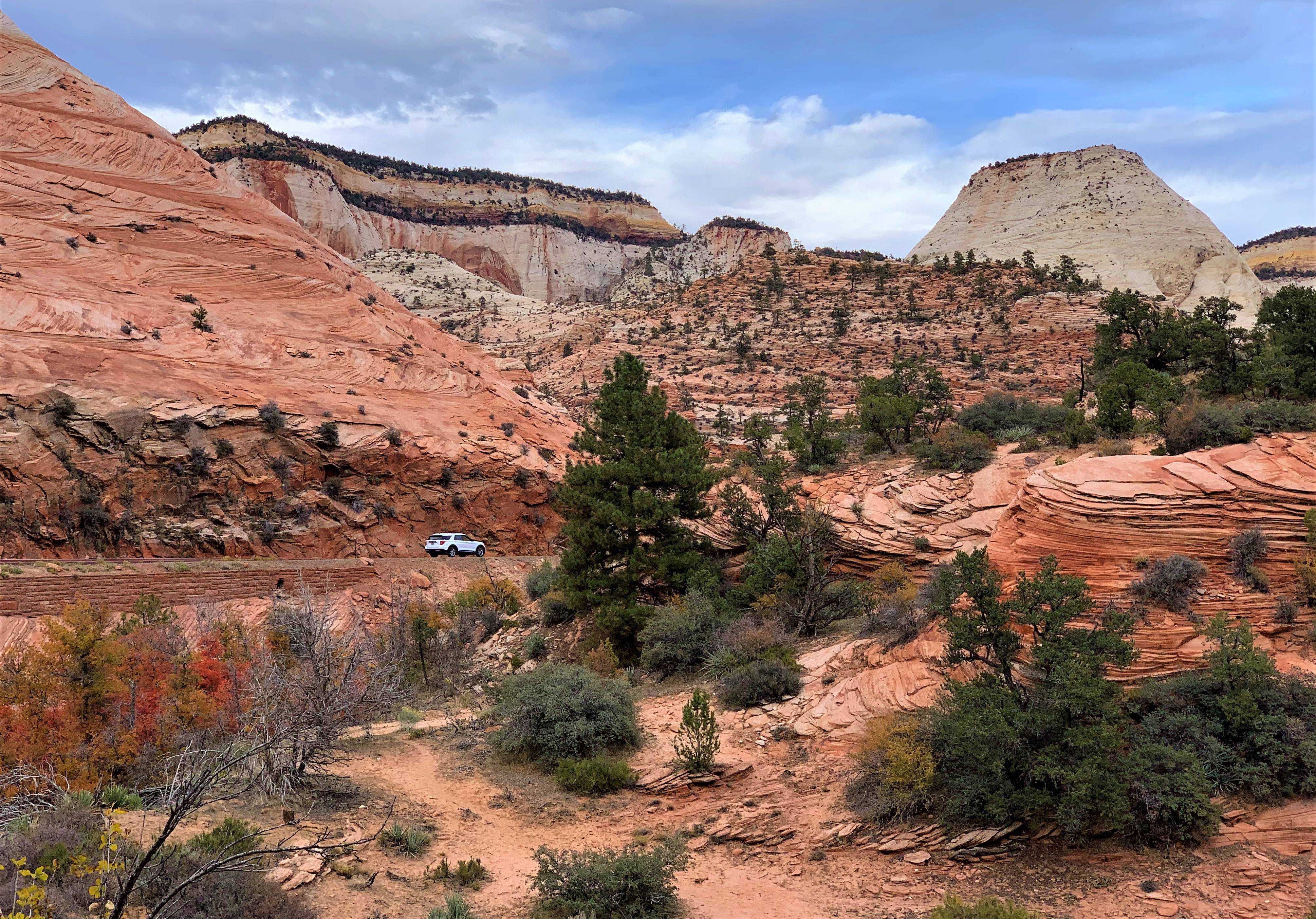 Zion NP